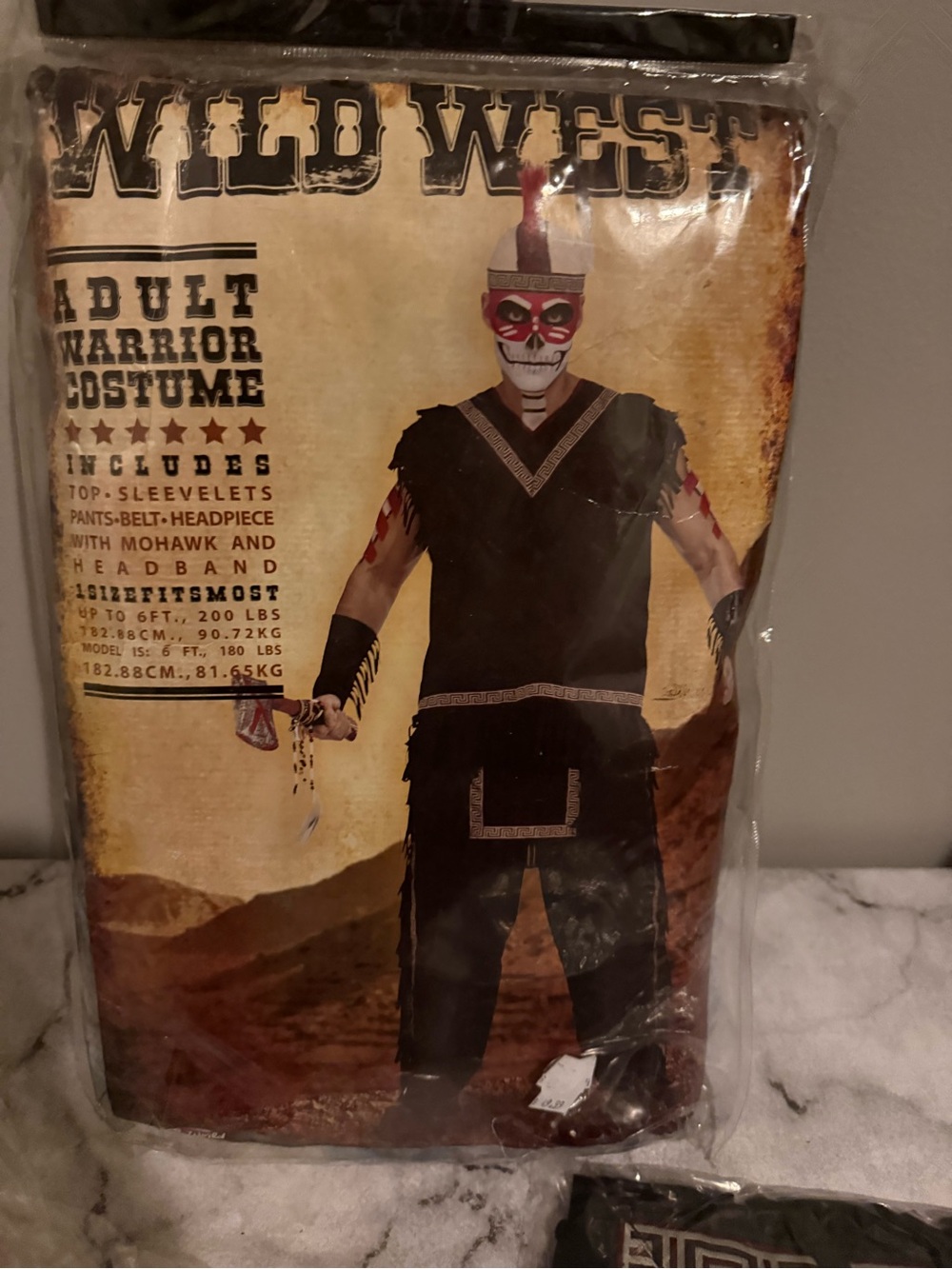 Wild West Adult Black Warrior Halloween Costume